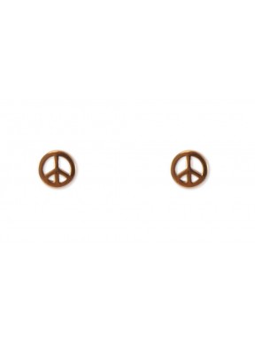 Pendientes Plata Simbolo Paz