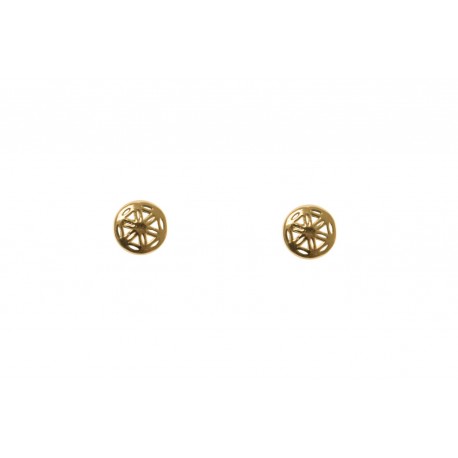 Pendientes Plata Rueda