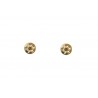 Pendientes Plata Rueda