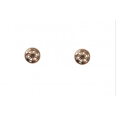 Pendientes Plata rueda