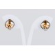 Pendiente Swarovski Cristal G/Shadow